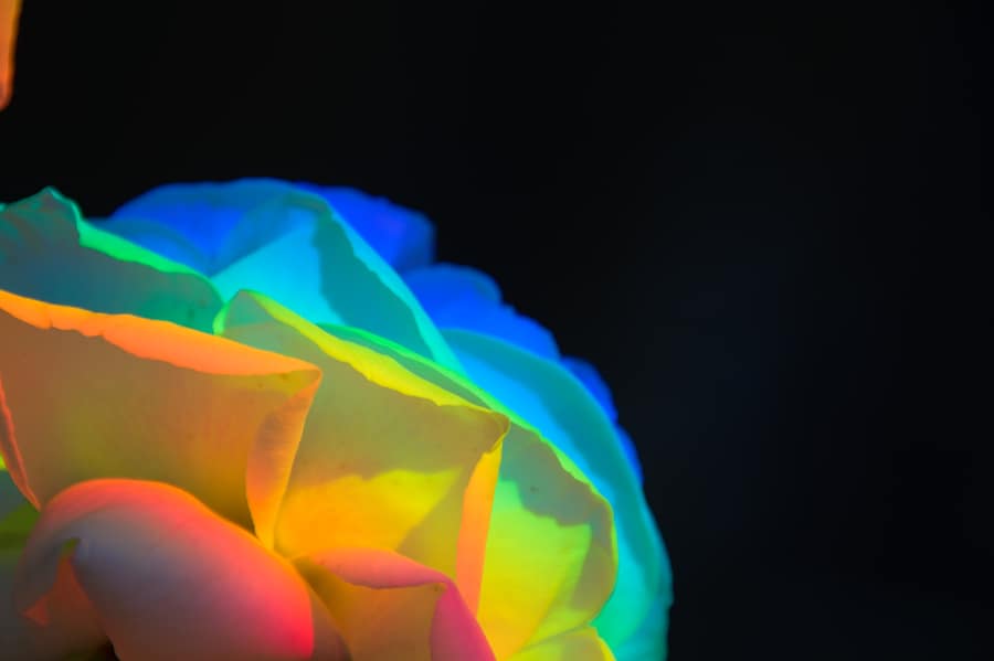 Fleur de lumière