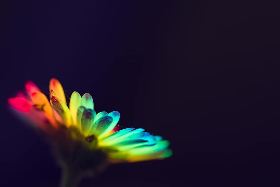 Arc-en-ciel fragile